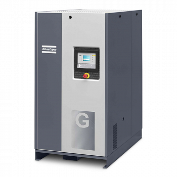Винтовой компрессор Atlas Copco GA55 VSD+ 13FF, с осушителем Винтовой компрессор Atlas Copco GA55 VSD+ 13FF, с осушителем